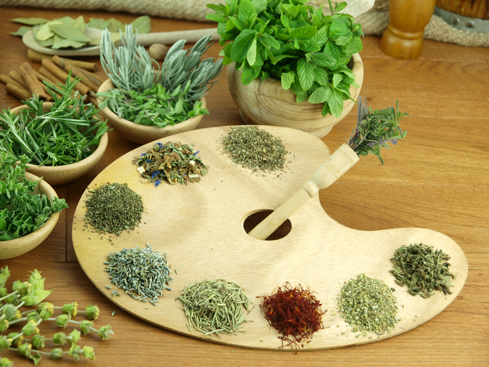 Planning Your Shakespeare Garden